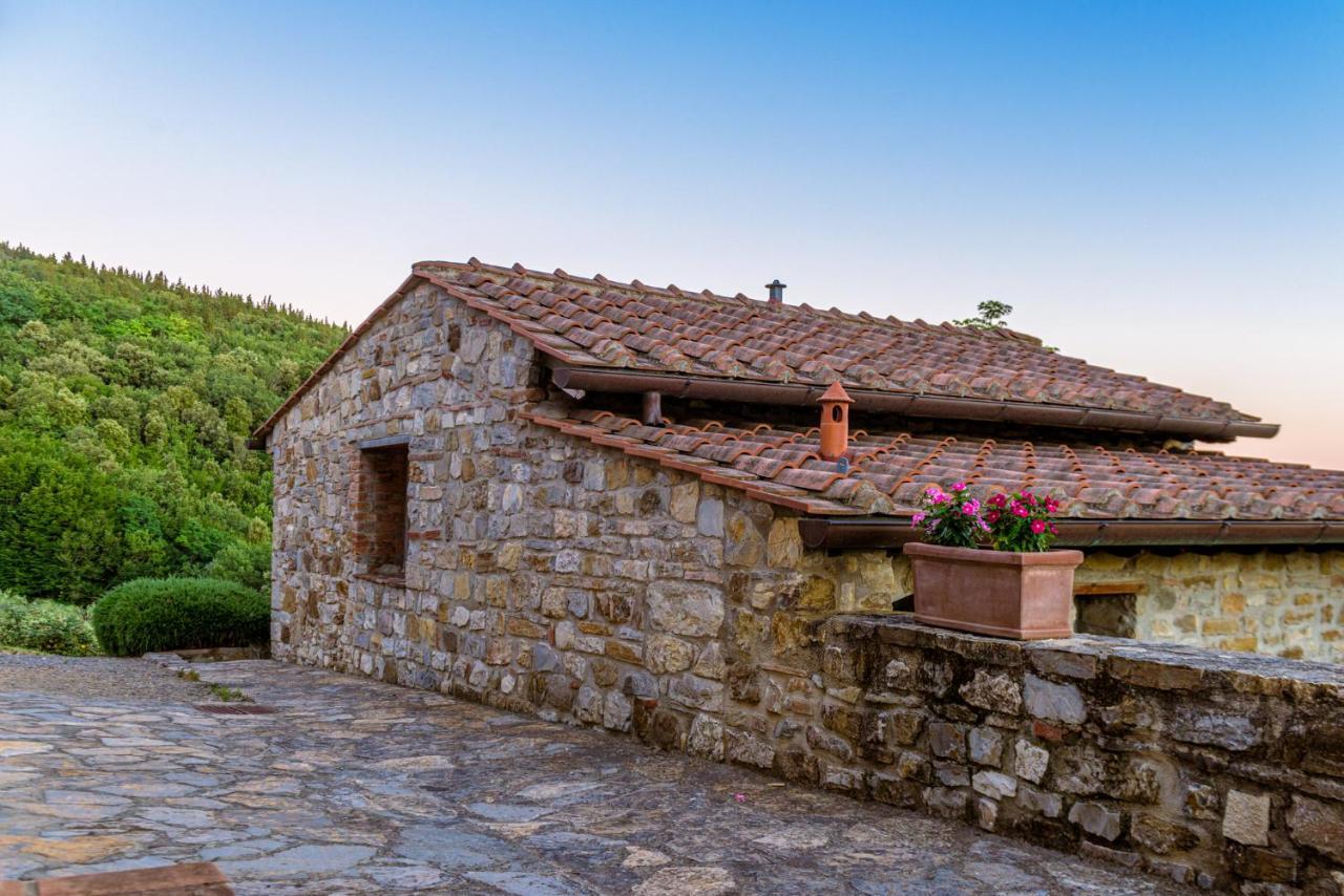 Agriturismo Concadoro Villa Castellina in Chianti Ngoại thất bức ảnh