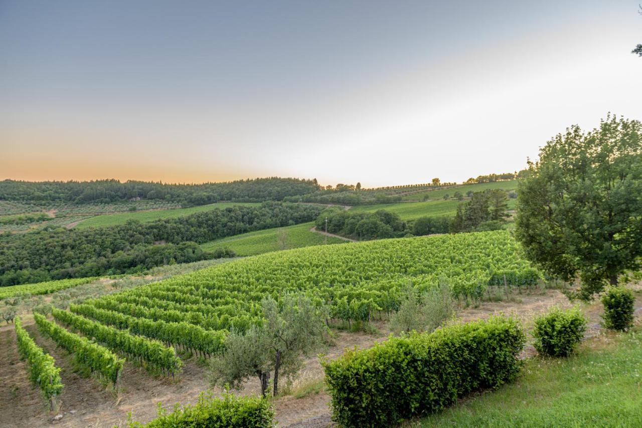 Agriturismo Concadoro Villa Castellina in Chianti Ngoại thất bức ảnh