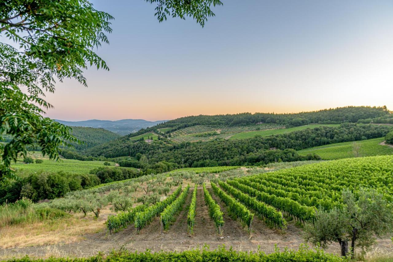 Agriturismo Concadoro Villa Castellina in Chianti Ngoại thất bức ảnh